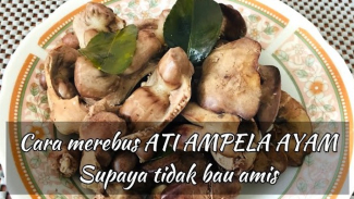 Article