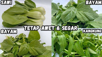 Sayuran Cepat Busuk? Mudah Banget, Cara Simpan Sayuran Agar Awet dan Segar Sampai Seminggu