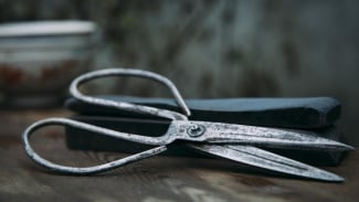 Article