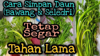 Rahasia Simpan Seledri, Daun Bawang, dan Prei Tetap Segar