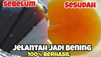 Minyak Jelantah Hitam Jadi Bening