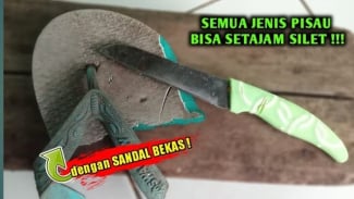 Article