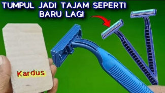 Article