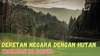 10 Negara dengan Hutan Terluas di Dunia yang Jarang Disorot Media