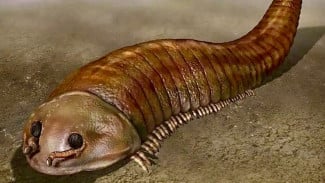 Ternyata Dinosaurus Belum Punah! 6 Hewan Purba Ini Masih Ada di Bumi dan Bikin Takjub