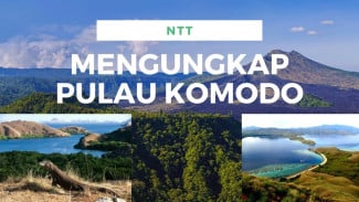 Dikelilingi Panorama Bukit dan Sabana yang Menakjubkan, Berikut 5 Fakta Menarik Pulau Komodo yang Wajib Kamu Tahu