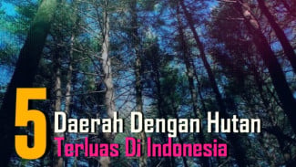 Dikenal Sebagai 
