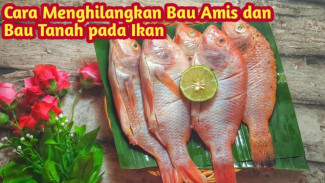 Wajib Dicoba! Inilah Trik Anti Gagal Hilangkan Bau Amis Ikan dengan Bahan Sederhana