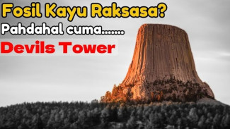 Banyak yang Percaya Devils Tower Fosil Pohon Purba, Sains Ungkap Kebenaran Mengejutkan