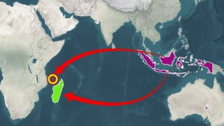 Penduduk Madagaskar Ternyata Bukan Asli Orang Afrika, DNA Buktikan Mereka dari Indonesia
