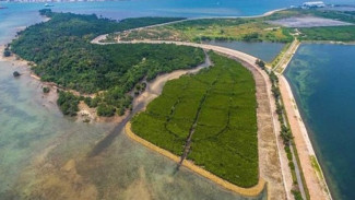 Singapura Jadi Negara Bersih Padahal Produksi Sampah Plastik Tertinggi Dunia, Ternyata Sampahnya Dibuat Pulau!