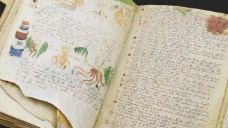 Misteri Manuskrip Voynich, Buku Kuno Berusia 600 Tahun Tak Ada yang Bisa Baca!
