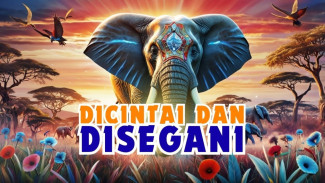 Siapa Sangka, Inilah Keunikan Gajah yang Tak Dimiliki Hewan Lain, Punya Ingatan Luar Biasa?