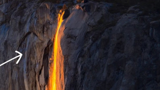 Tak Terduga! Momen Langka Sekali Seumur Hidup Terekam Kamera Jadi Viral