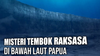 Tembok Raksasa Papua Sepanjang 110 Kilometer di Dasar Laut, Mengapa Google Maps Menghapusnya Tahun 2012?