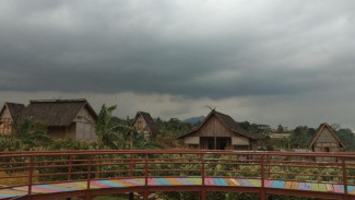 Photo Mini 3
