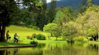 Healing di Kebun Raya Cibodas, Cek Aktivitas Seru Buat Piknik Keluarga Yuk!