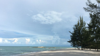 Pantai Cemara Cidawud Cianjur Menemukan Ketenangan di Bawah Rindangnya Pepohonan