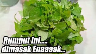Resep Coel Gletang Sambal Kencur Super Segar, Cocok untuk Cuaca Panas