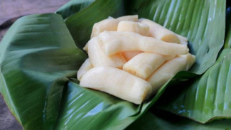 Manfaat Tape Singkong Untuk Kesehatan yang Jarang Diketahui Bikin Kaget Banyak Orang