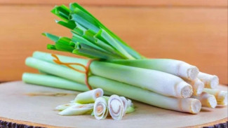 9 Manfaat Serai Untuk Kesehatan Tubuh Lebih Sehat Segar dan Bugar