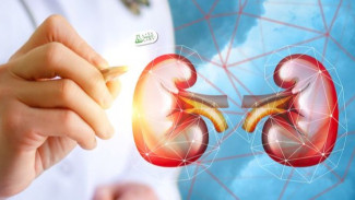 Bukan Obat, 7 Buah Ajaib Ini Membantu Perbaiki Fungsi Ginjal Secara Alami
