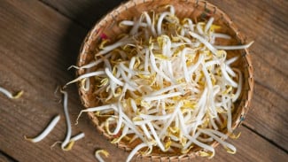 Manfaat Sayur Taoge Bikin Tubuh Lebih Sehat dan Kulit Tetap Awet Muda
