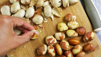 Punya Biji Nangka Jangan Dibuang! Ini Deretan Manfaat Biji Nangka Untuk Kesehatan Tubuh