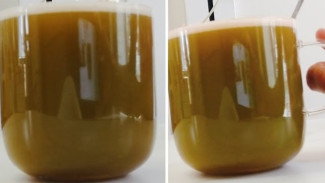 Jus Wortel Mentimun Ternyata Bisa Menurunkan Berat Badan Drastis, Begini Resepnya