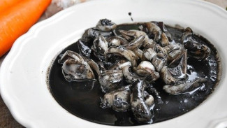Manfaat Tinta Cumi Hitam untuk Kesehatan yang Faktanya Bikin Kamu Takjub