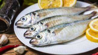 Pilihan Ikan Penuh Kandungan Kolagen Untuk Kulit Segar Awet Muda dan Otot Tetap Kuat