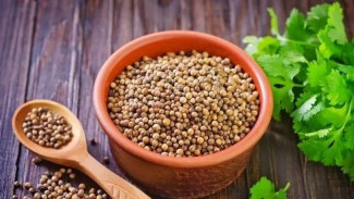 Manfaat Air Ketumbar! Minuman Herbal Alami Penurun Kolesterol dan Peningkat Nafsu Makan