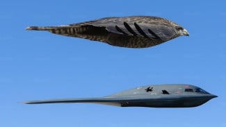 Kenapa B-2 Spirit Dijuluki Pesawat Bomber Paling Mematikan dan Canggih?