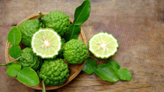 4 Manfaat Jeruk Purut untuk Kesehatan Pencernaan dan Kulit Cantik