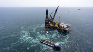 Proyek Turbin Angin Laut Jerman 960 MW Selesai 97 Hari, Teknologi Mitigasi Kebisingan Kurangi 24 Desibel Lindungi Lumba-