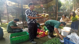 Habis Rp 15 Juta Sehari, Bandung Zoo Pastikan Semua Satwa Sehat Pasca Kematian Harimau