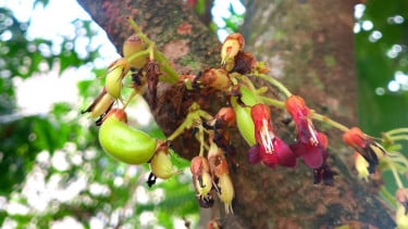img_title