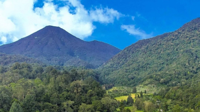 Kebun Raya Cibodas, Cianjur Jawa Barat.