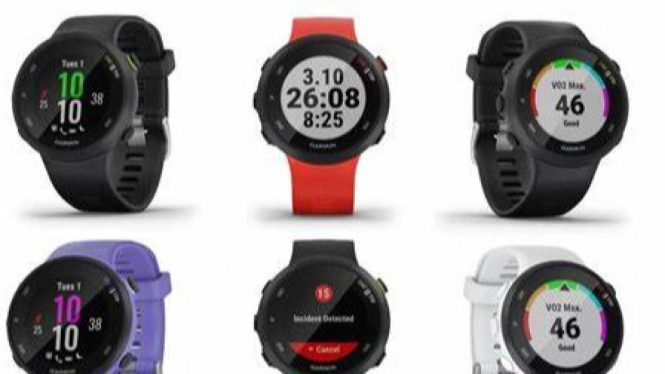 Smartwatch Garmin