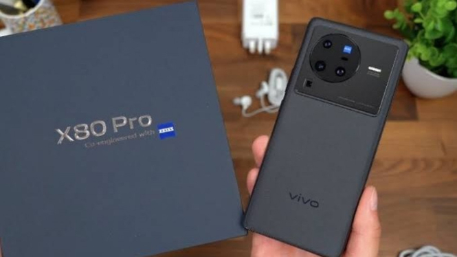 Vivo X80