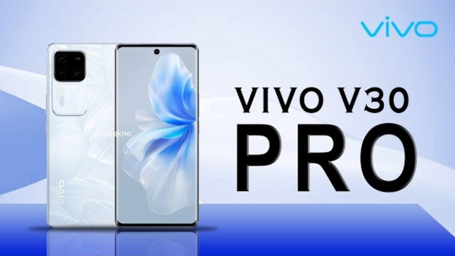 vivo v30