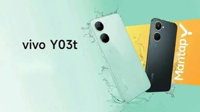 vivo y03t