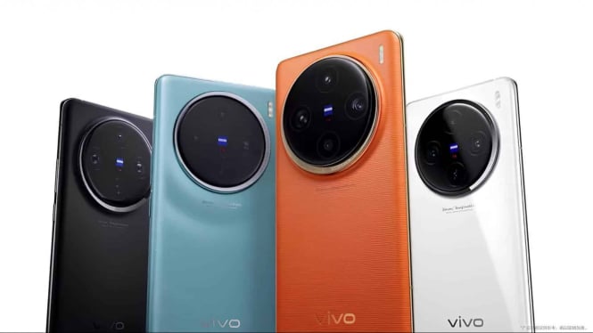 vivo x100 pro