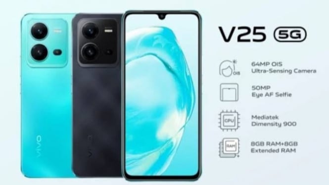 vivo v25