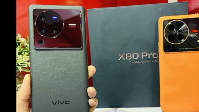 vivo x80 pro