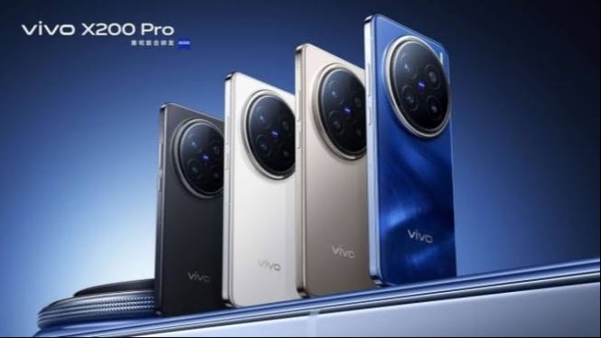 Vivo X200 Mini Pro