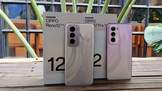 oppo reno 12 pro