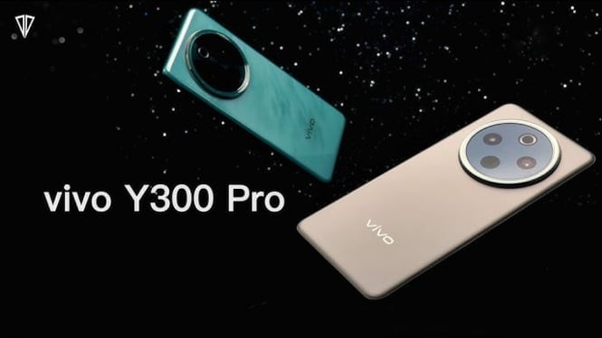 vivo y300 pro