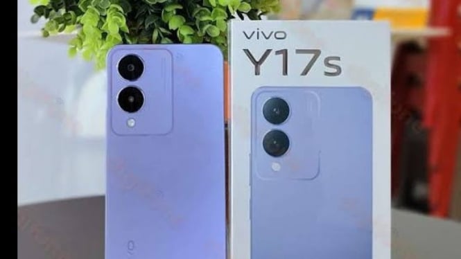 vivo y17s