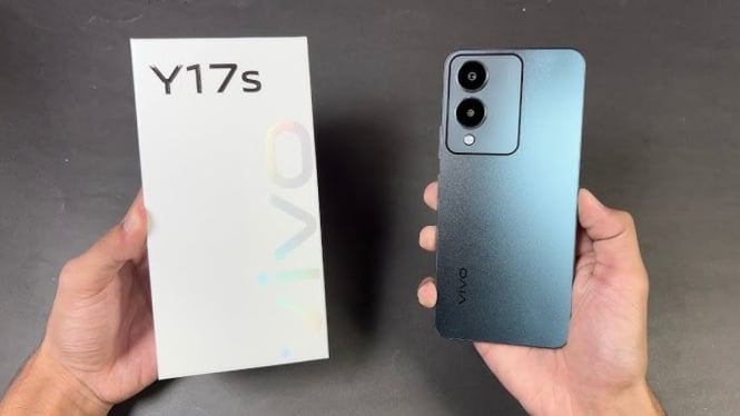 vivo y17s